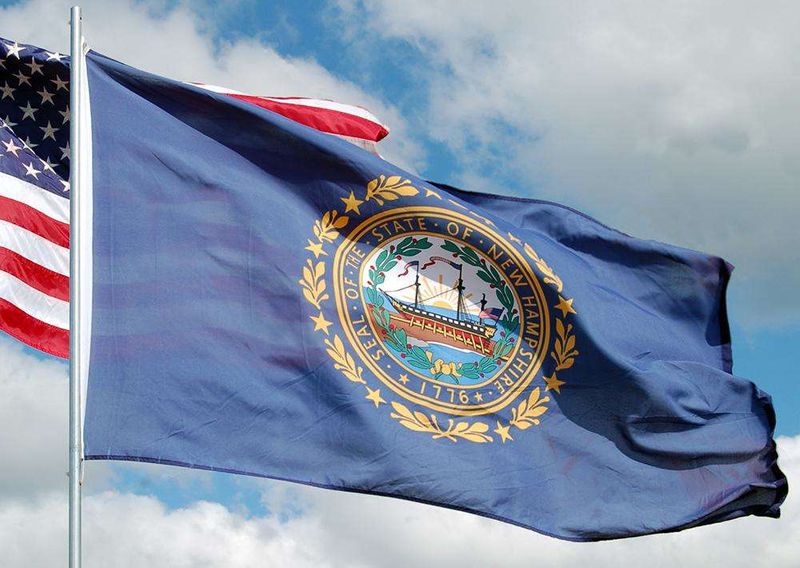 New Hampshire State Flags - Nylon &amp; Polyester - 2' x 3' to 5' x 8'